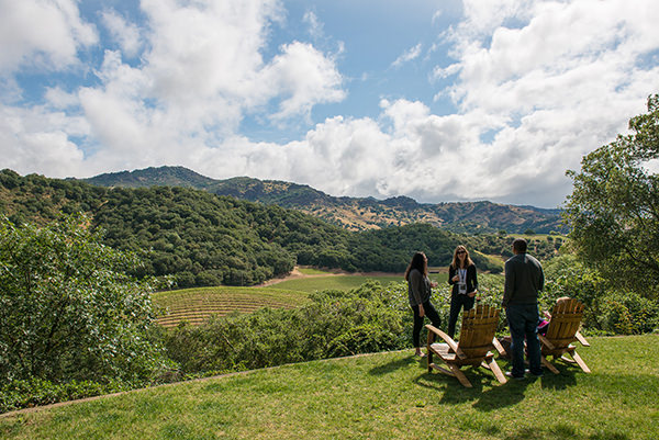 a small group of four people stand on a lawn overlooking a dramatic, mountainous vista in Napa Valley