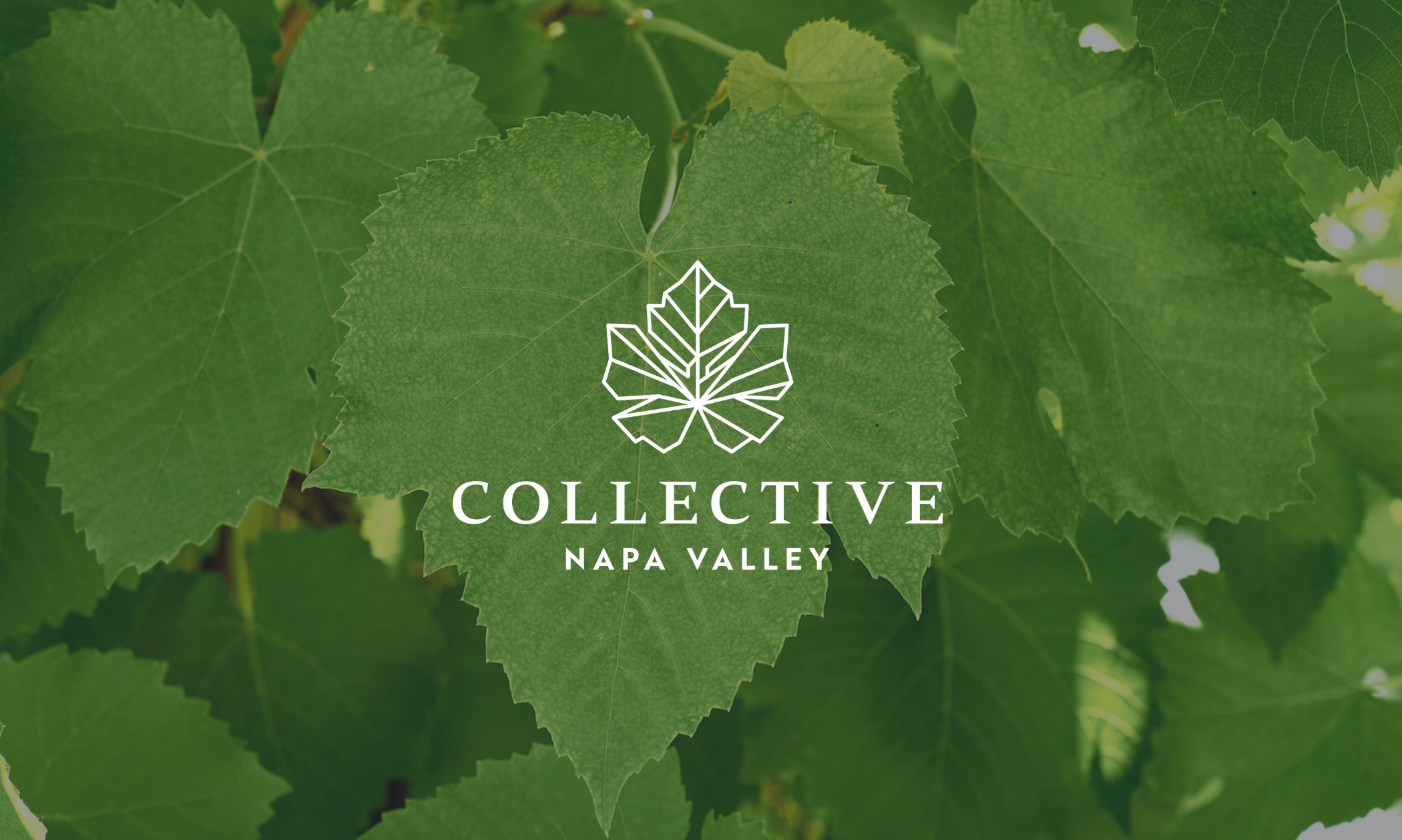We are unveiling Collective Napa Valley, starting now Napa Valley
