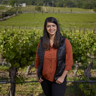 Meet the Vintners of Napa Valley