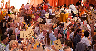 Auction Napa Valley bidding paddles