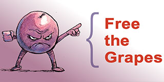 Free the Grapes consumer direct shipping advocacy campaign