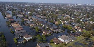 Napa Valley Vintners Hurricane Katrina relief fundraising