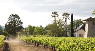 Napa Valley sustainable farming representing the Napa Green task force