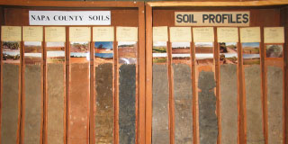 Napa Valley geology and soils research profiles