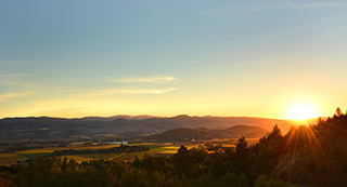 Napa Valley sunset marking 500 member wineries