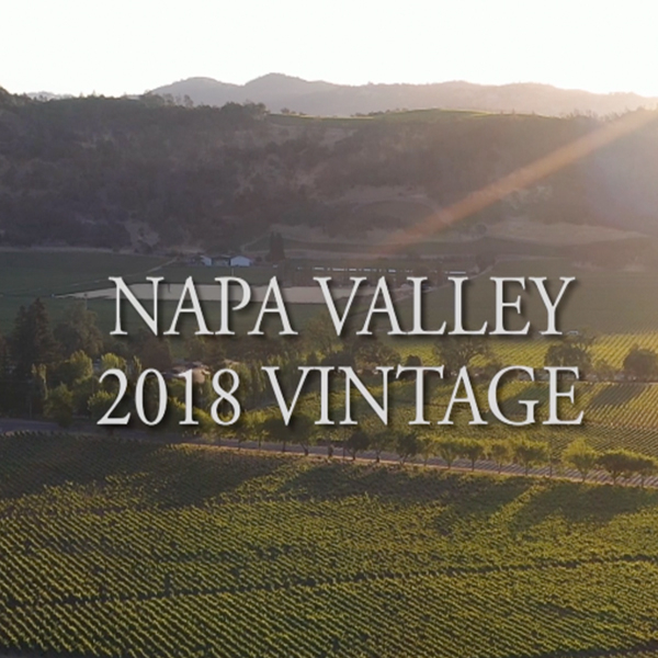 2018 vintage overview for Napa Valley Cabernet, Merlot and Red Blends
