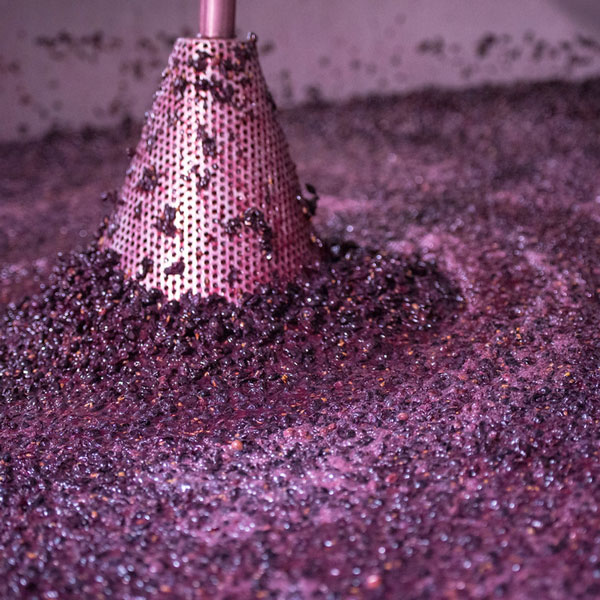 How Cabernet Sauvignon is Made