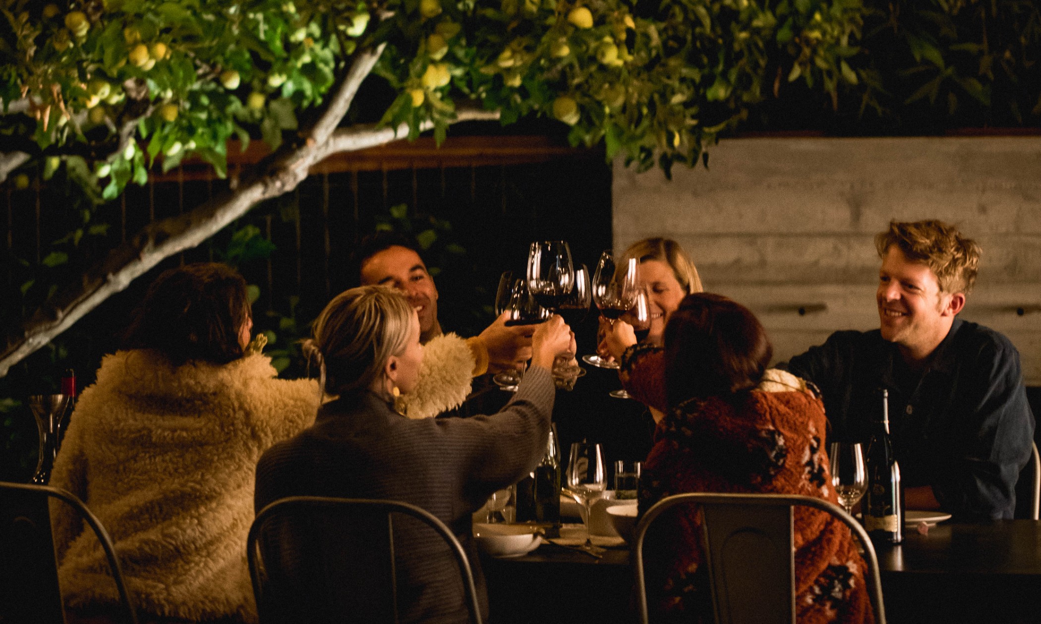 Open the Cellar: Holiday Collections