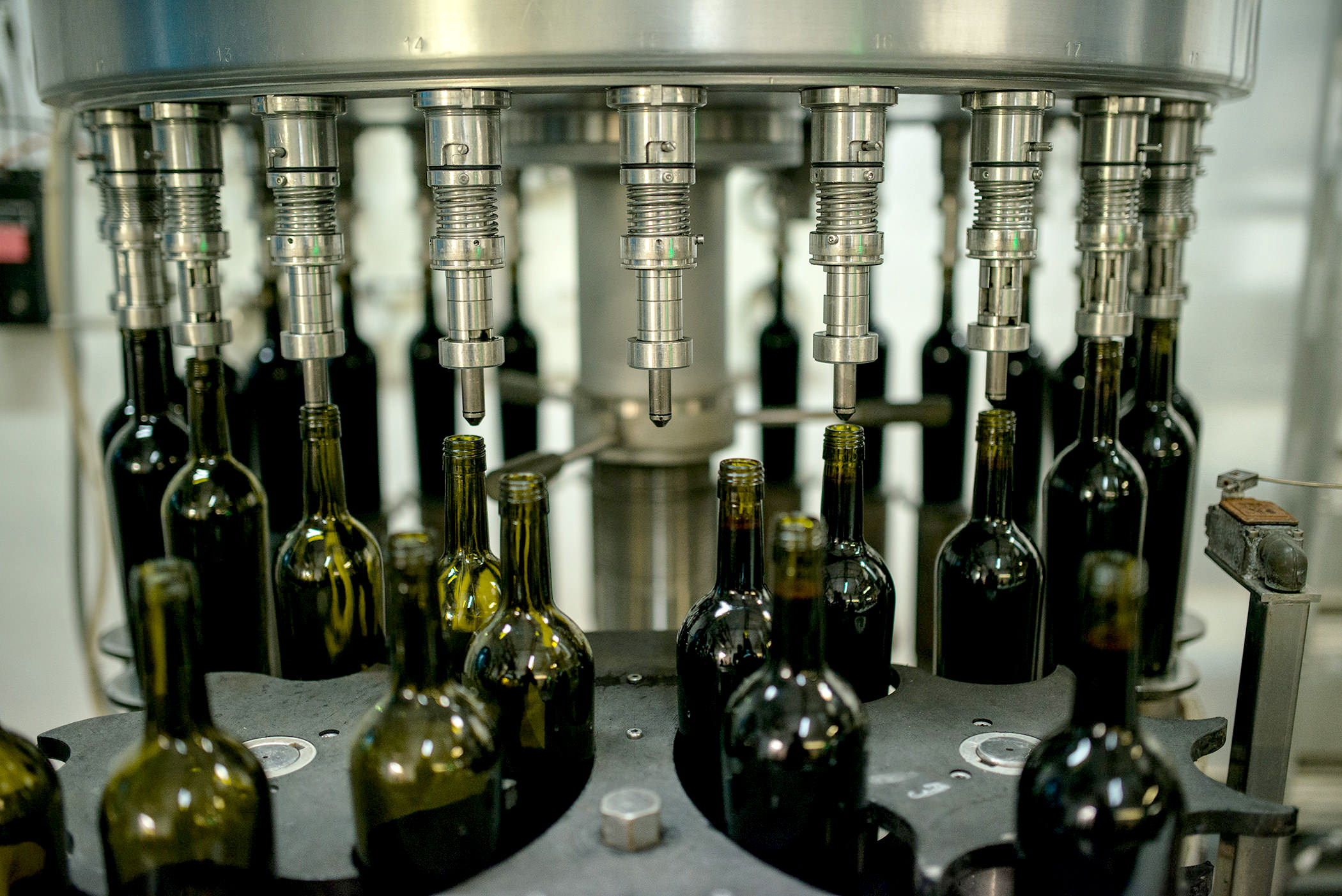 bottling machinery in a winery