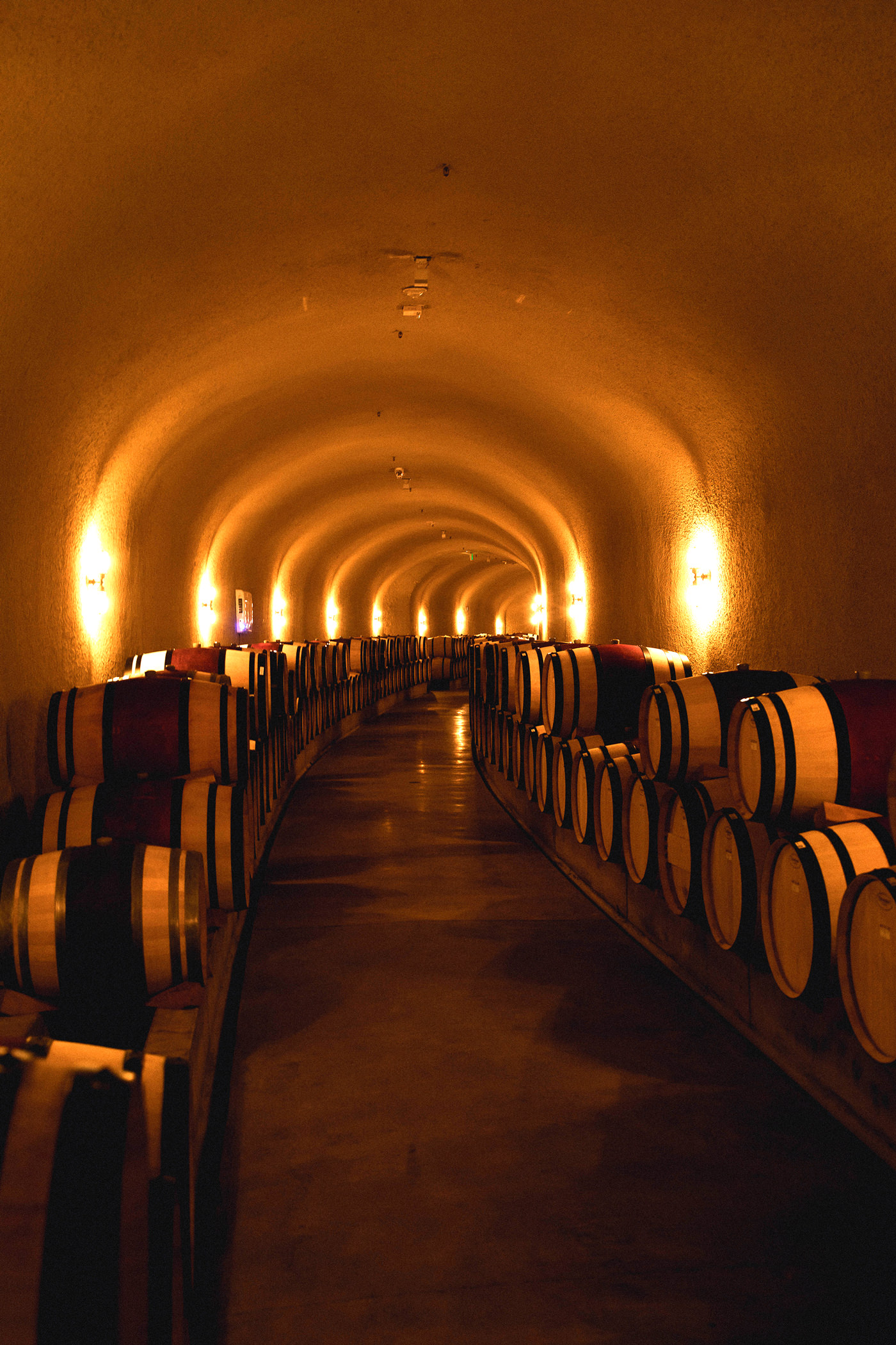 barrels line the walls of a wine cave