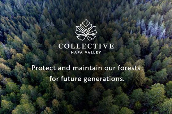 Collective Napa Valley forest health and wildfire resiliency initiative