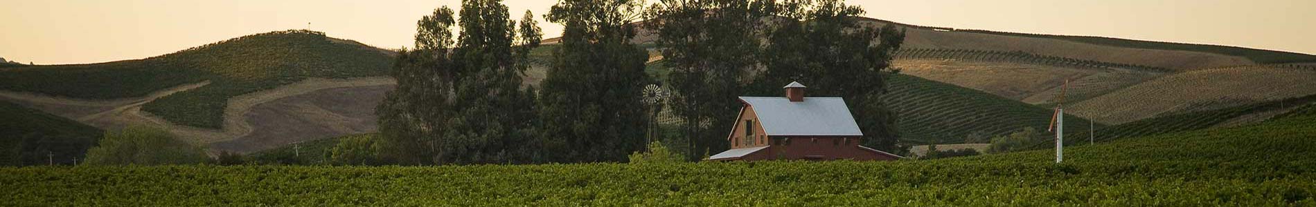About the Napa Valley Vintners