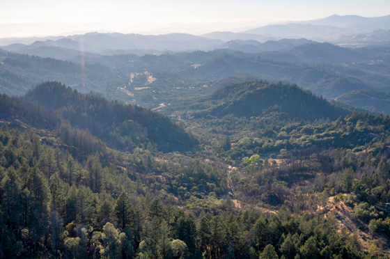 Napa Valley wildfire fuel reduction efforts