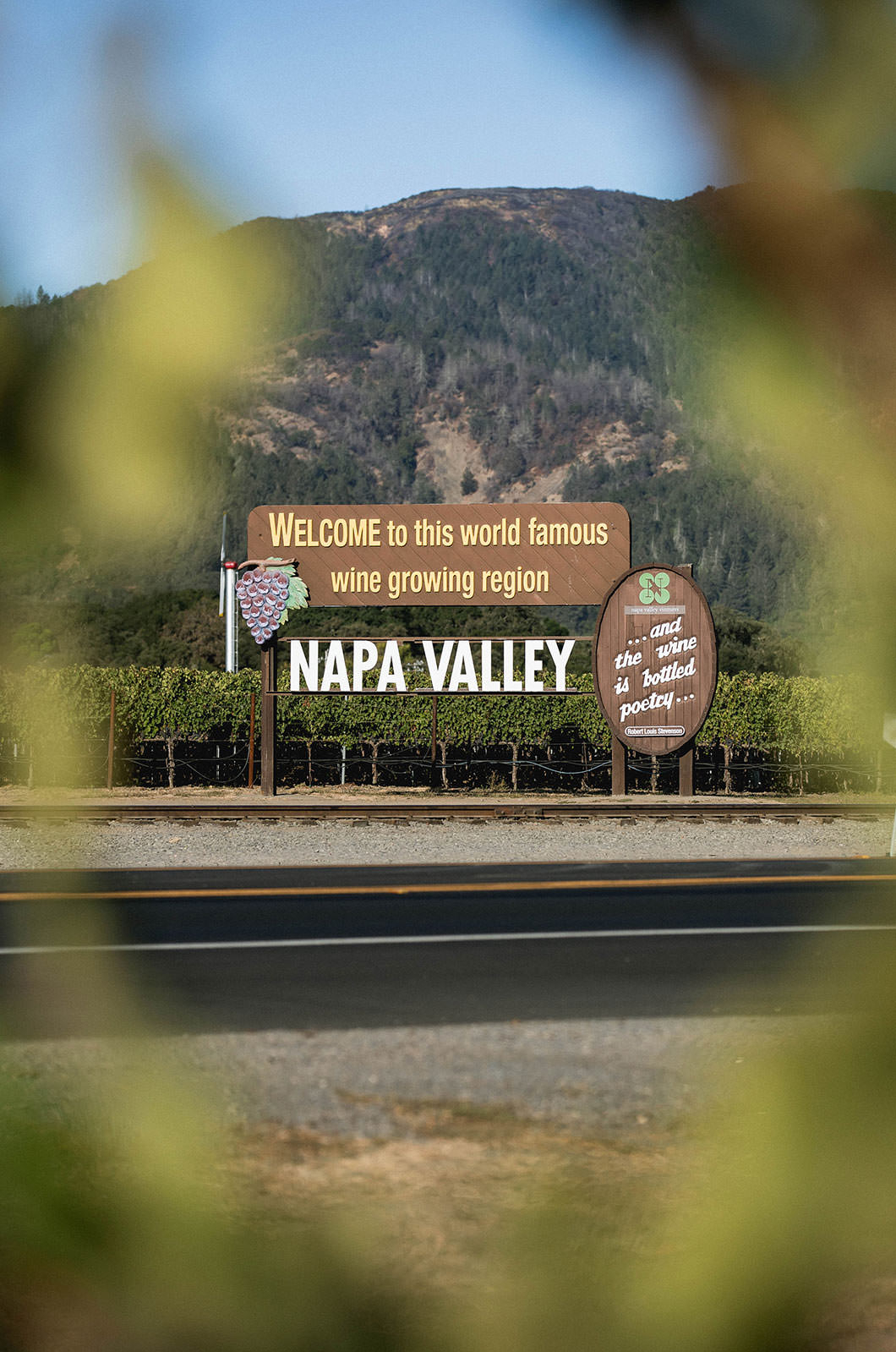 napa. valley wine tour