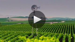 Napa Valley Cultivating Excellence Introduction Napa Valley Cultivating Excellence Introduction