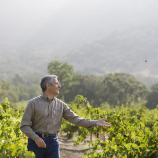 Meet the Vintners of Napa Valley