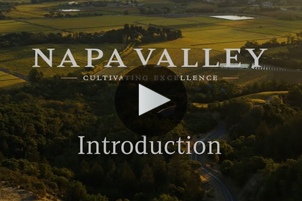 Napa Valley Cultivating Excellence Introduction Napa Valley Cultivating Excellence Introduction