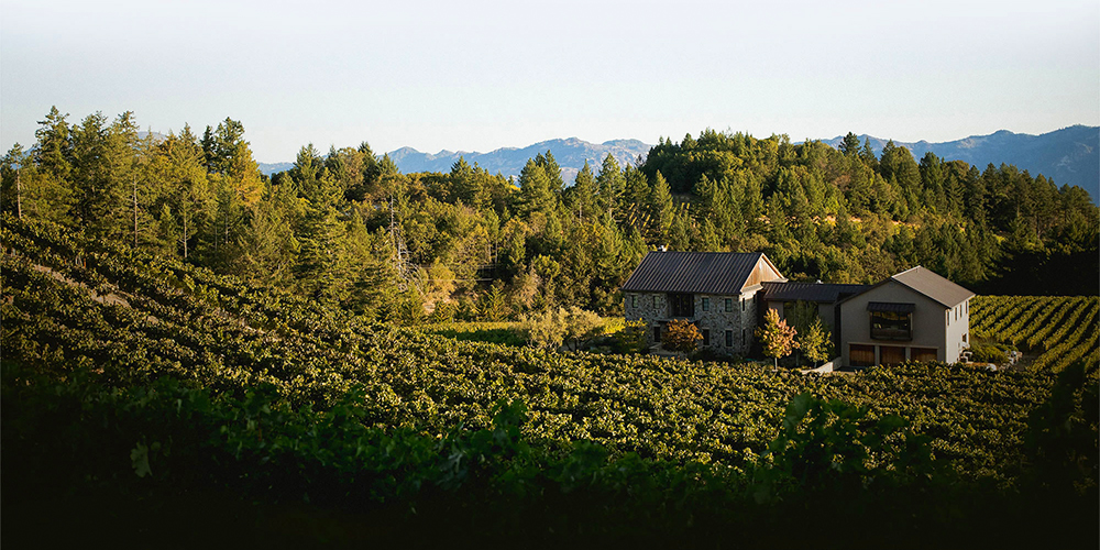 Napa Valley Cultivating Excellence