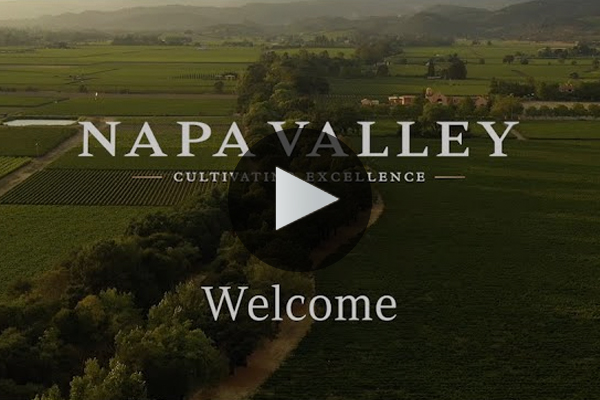 Napa Valley at a Glance Napa Valley at a glance