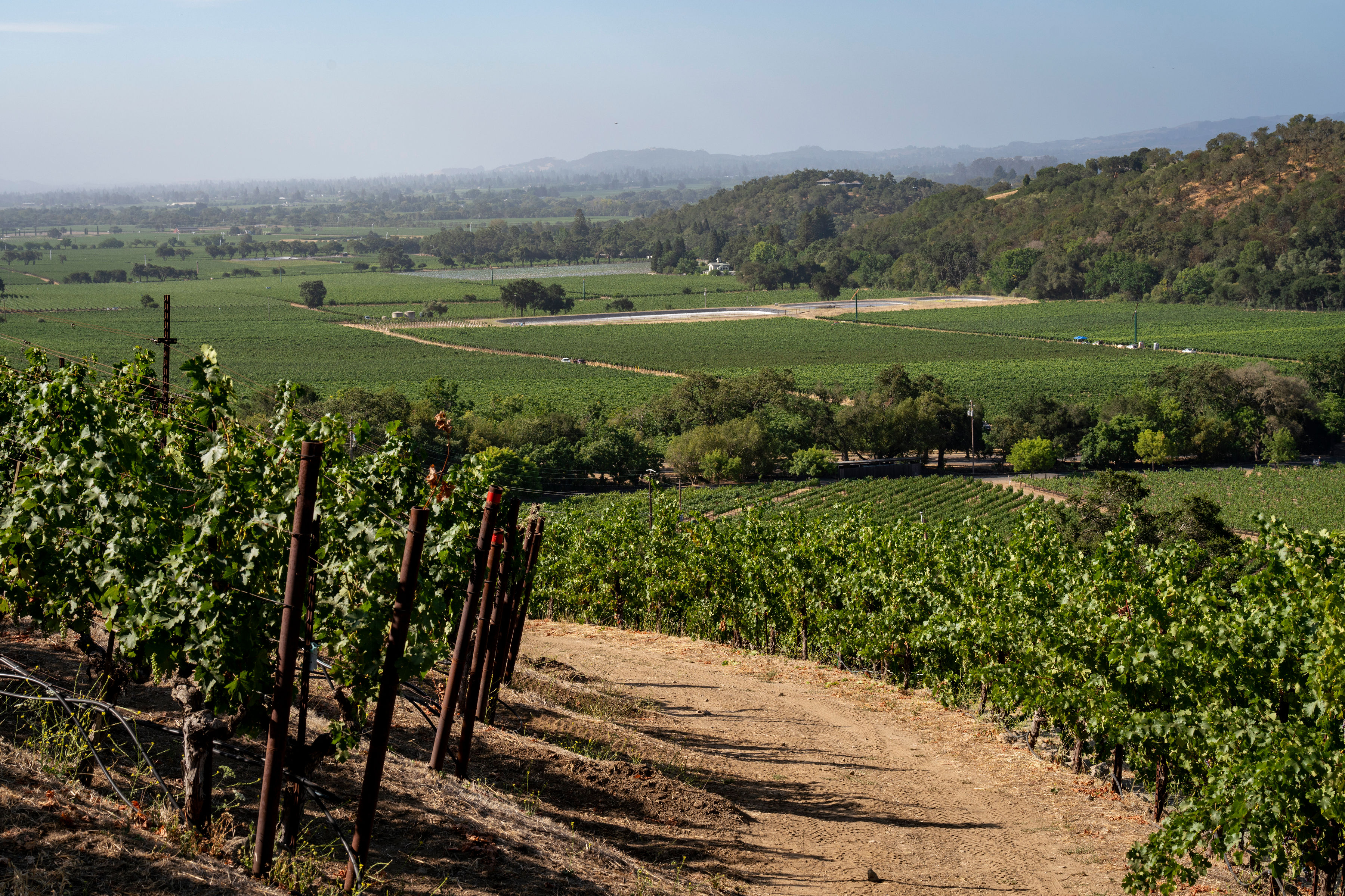 Stags Leap District AVA