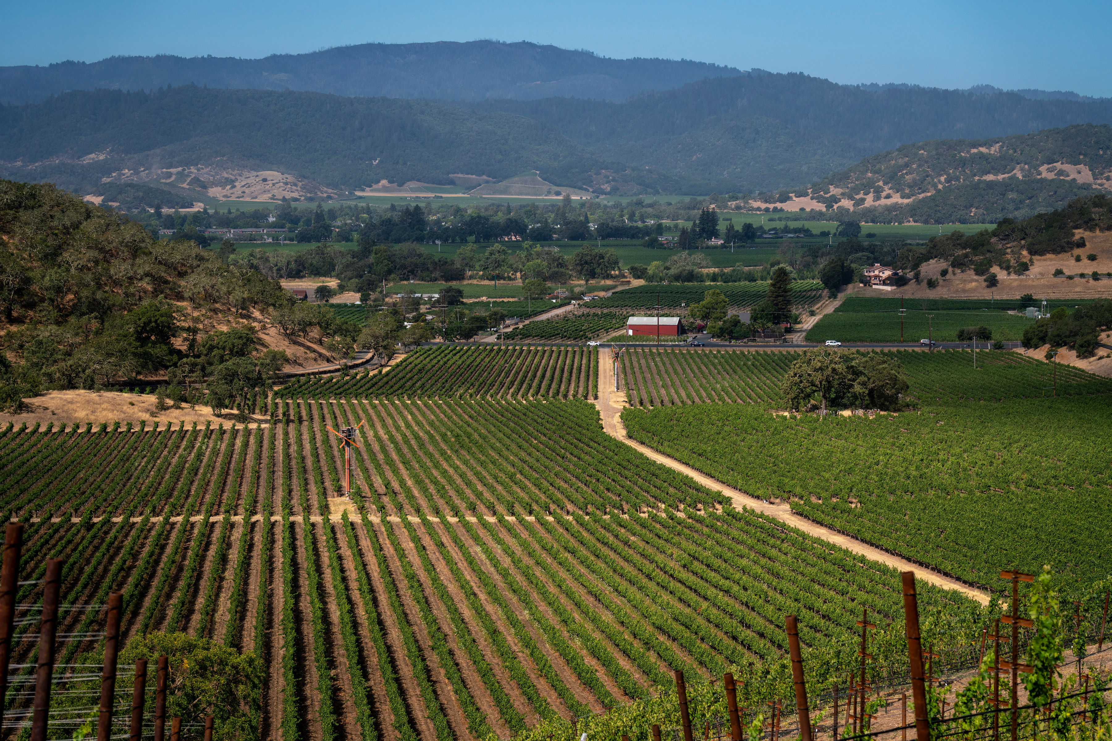 Stags Leap District AVA